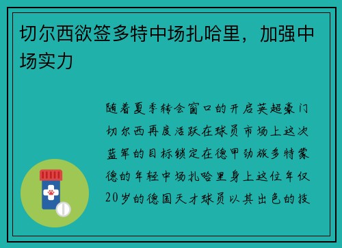 切尔西欲签多特中场扎哈里，加强中场实力