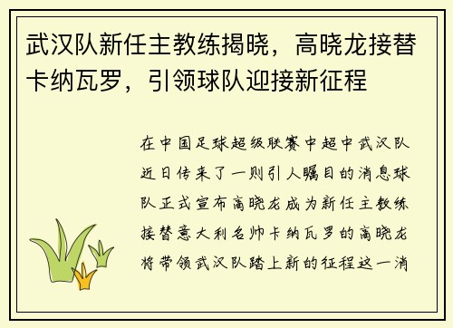 武汉队新任主教练揭晓，高晓龙接替卡纳瓦罗，引领球队迎接新征程
