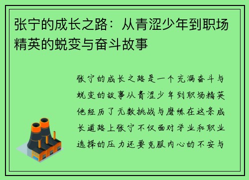 张宁的成长之路：从青涩少年到职场精英的蜕变与奋斗故事