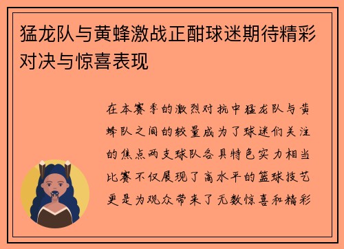 猛龙队与黄蜂激战正酣球迷期待精彩对决与惊喜表现