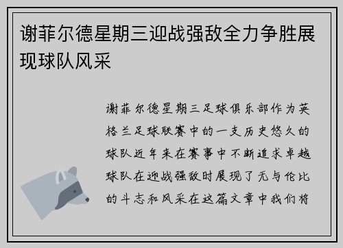 谢菲尔德星期三迎战强敌全力争胜展现球队风采