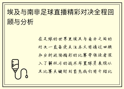 埃及与南非足球直播精彩对决全程回顾与分析