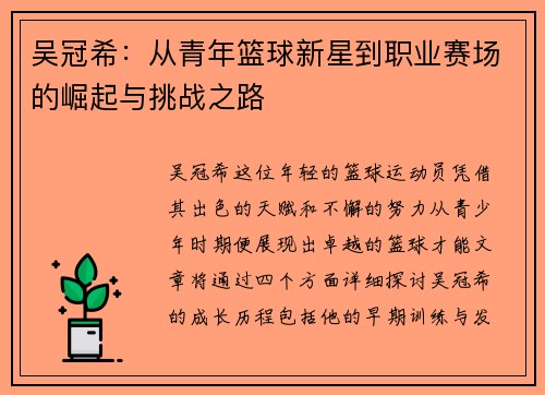 吴冠希：从青年篮球新星到职业赛场的崛起与挑战之路